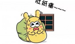 吃瓜群众内测版,带你领略全新社交体验