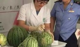 西瓜直播吃瓜群众,吃瓜群众的狂欢盛宴